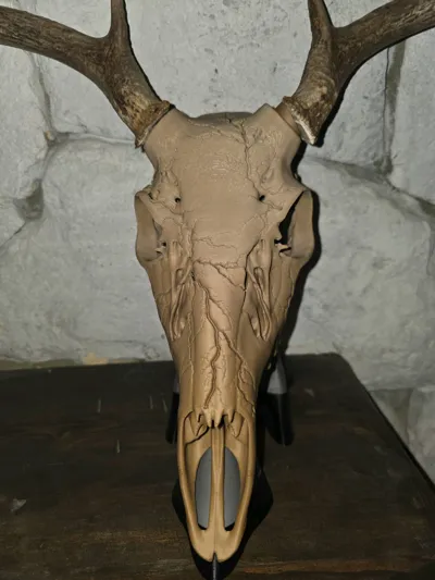 https://makerworld.bblmw.com/makerworld/comment/20260202/1413724937/f482340bf77058c3.jpg