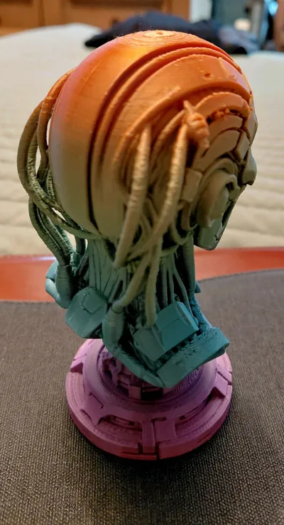 https://makerworld.bblmw.com/makerworld/comment/20260202/1571463436/6c11a069dfb6a357.jpg