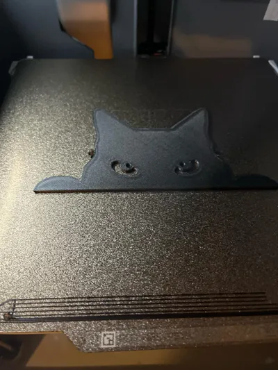 https://makerworld.bblmw.com/makerworld/comment/20260202/168235884/73ab20eed16242d1.jpg