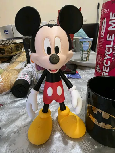 https://makerworld.bblmw.com/makerworld/comment/20260202/1780847247/2bd1985c867f5420.jpg