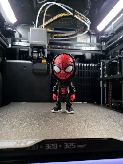 https://makerworld.bblmw.com/makerworld/comment/20260202/1828650932/ecef4768e7d4e165.jpg