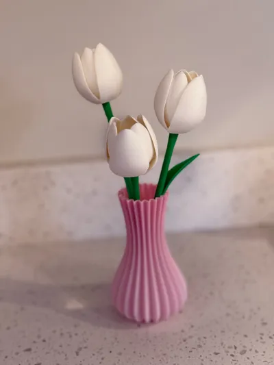 https://makerworld.bblmw.com/makerworld/comment/20260202/1865226360/bc4b228eb513dbb9.jpg