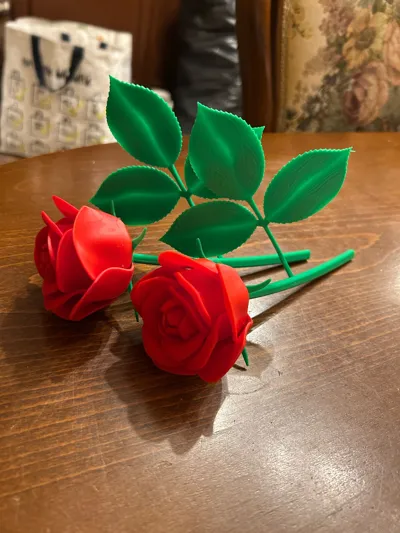 https://makerworld.bblmw.com/makerworld/comment/20260202/1946081587/7b09beac6ebfc7bd.jpg