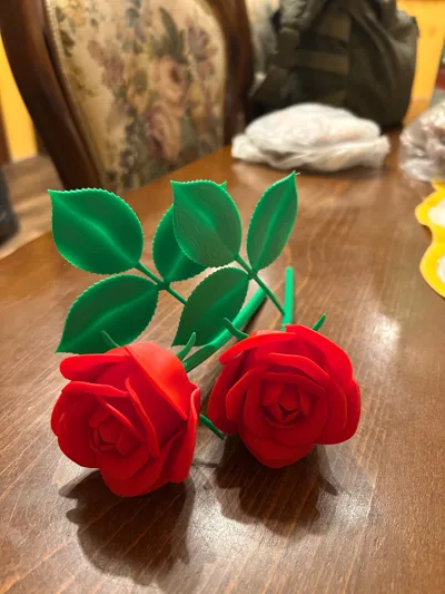https://makerworld.bblmw.com/makerworld/comment/20260202/1946081587/9921e1f97b79ef55.jpg