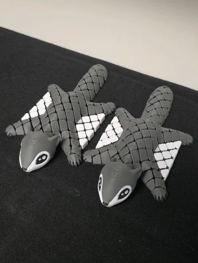 https://makerworld.bblmw.com/makerworld/comment/20260202/1950422933/6494f81208a4448c.jpg