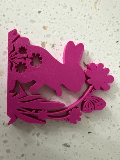 https://makerworld.bblmw.com/makerworld/comment/20260202/2191321640/dbfea46618b406f2.jpg