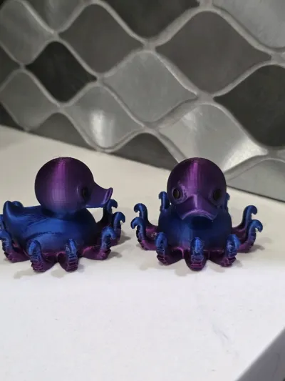 https://makerworld.bblmw.com/makerworld/comment/20260202/2204829492/b3567a6336e4d727.jpg
