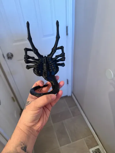 https://makerworld.bblmw.com/makerworld/comment/20260202/2400293452/ad3701b48a357792.jpg
