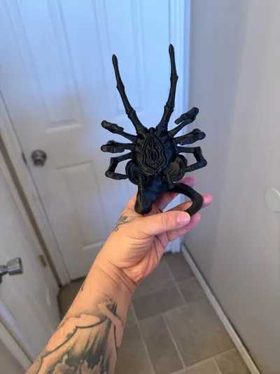 https://makerworld.bblmw.com/makerworld/comment/20260202/2400293452/af99ff8c1d159676.jpg