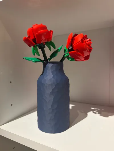 https://makerworld.bblmw.com/makerworld/comment/20260202/2793656089/7ec977c067d5191b.jpg