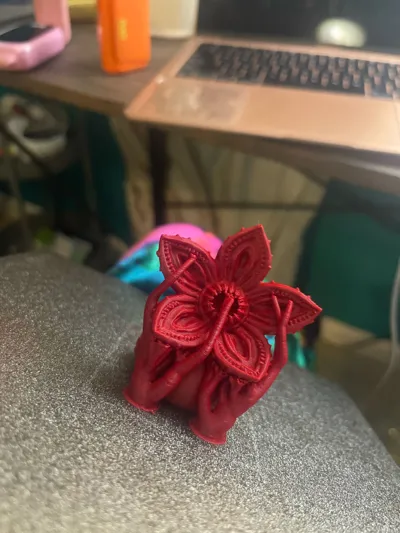 https://makerworld.bblmw.com/makerworld/comment/20260202/2809753806/8ed0bee20c16a5d5.jpg