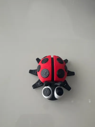 https://makerworld.bblmw.com/makerworld/comment/20260202/2897265619/9041d14aeeb55830.jpg