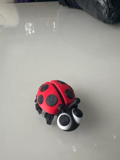 https://makerworld.bblmw.com/makerworld/comment/20260202/2897265619/ce22467eb9171ca1.jpg