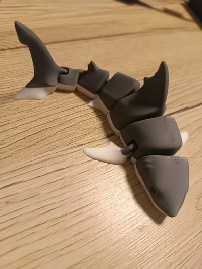 https://makerworld.bblmw.com/makerworld/comment/20260202/2918555167/beab77f3a0d962a3.jpg