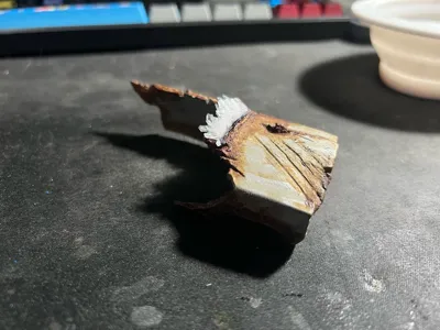 https://makerworld.bblmw.com/makerworld/comment/20260202/3263569768/76143737e0629db3.jpg