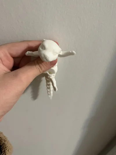 https://makerworld.bblmw.com/makerworld/comment/20260202/3294243156/b3d5e97750efbed4.jpg