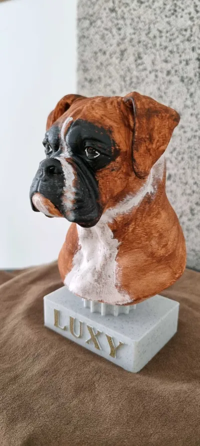 https://makerworld.bblmw.com/makerworld/comment/20260202/3324540738/21e5ba10ee179800.jpg