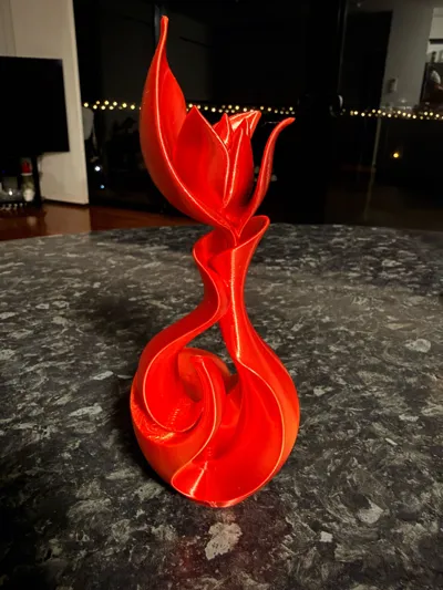 https://makerworld.bblmw.com/makerworld/comment/20260202/3430392519/5a7b0330f934ce4f.jpg