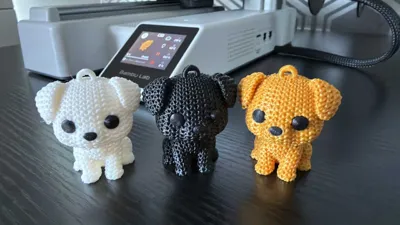 https://makerworld.bblmw.com/makerworld/comment/20260202/3430392519/786aad423d0c2ae0.jpg