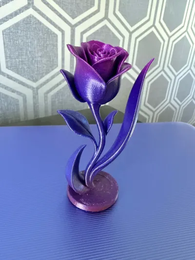 https://makerworld.bblmw.com/makerworld/comment/20260202/3430392519/bf5b1c5a2151d388.jpg