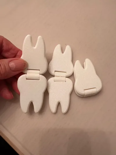 https://makerworld.bblmw.com/makerworld/comment/20260202/353183475/afb7d28136980a17.jpg