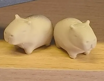 https://makerworld.bblmw.com/makerworld/comment/20260202/3551840804/1d28e6034bdc29e0.jpg