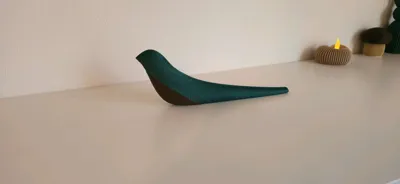 https://makerworld.bblmw.com/makerworld/comment/20260202/3910603172/358cffbc5a59d635.jpg