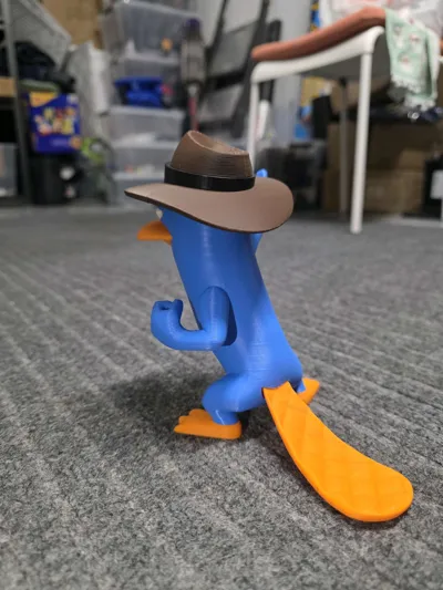 https://makerworld.bblmw.com/makerworld/comment/20260202/3931860920/41a69fd4f3a73023.jpg