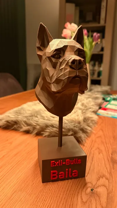 https://makerworld.bblmw.com/makerworld/comment/20260202/4090432832/20854d7fe1778133.jpg