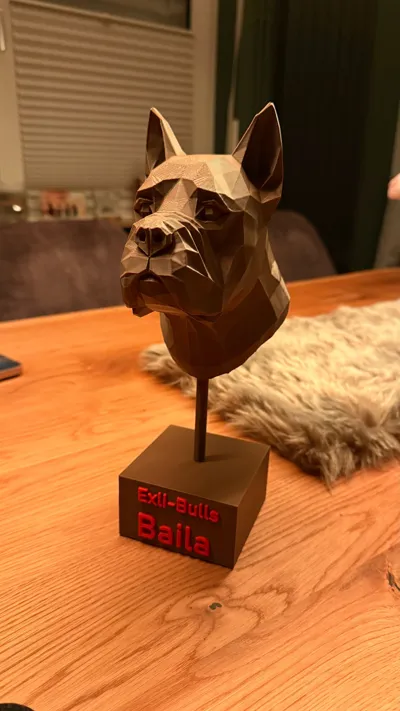 https://makerworld.bblmw.com/makerworld/comment/20260202/4090432832/66b47350ef602d4a.jpg