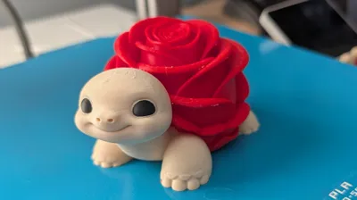 https://makerworld.bblmw.com/makerworld/comment/20260202/4232945427/43e132a8e4e0c454.jpg