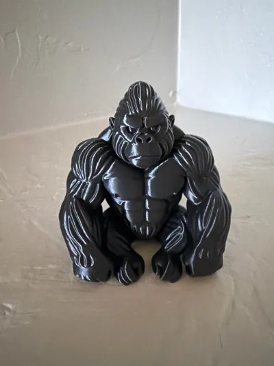 https://makerworld.bblmw.com/makerworld/comment/20260202/455048007/00760f9217f9ac15.jpg