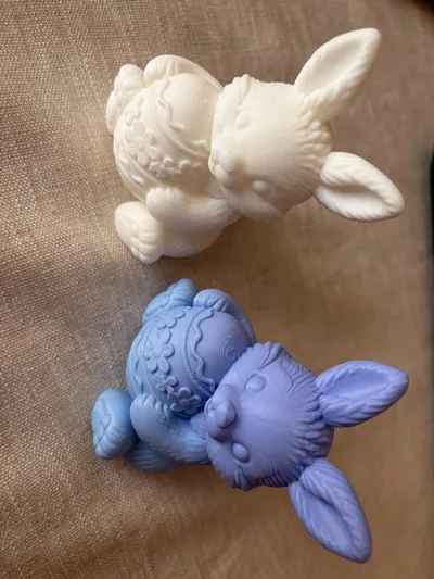 https://makerworld.bblmw.com/makerworld/comment/20260202/489600865/9ba1baecd079455e.jpg