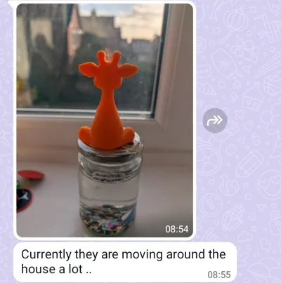 https://makerworld.bblmw.com/makerworld/comment/20260202/694206700/d647a16bdded6237.jpg