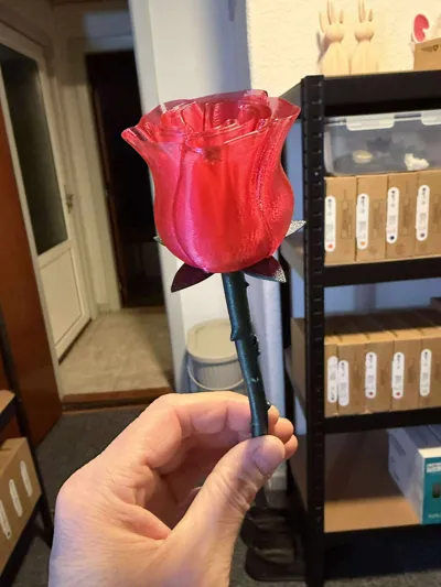 https://makerworld.bblmw.com/makerworld/comment/20260202/786413671/9f027fb5a523088b.jpg