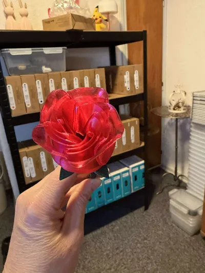 https://makerworld.bblmw.com/makerworld/comment/20260202/786413671/cd79fceb344e281a.jpg