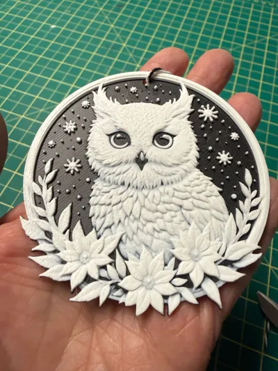 https://makerworld.bblmw.com/makerworld/comment/20260202/80954489/64cd12fa2322aeee.jpg