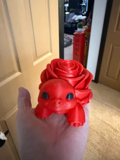 https://makerworld.bblmw.com/makerworld/comment/20260202/80954489/8e21a364d8e89d8c.jpg