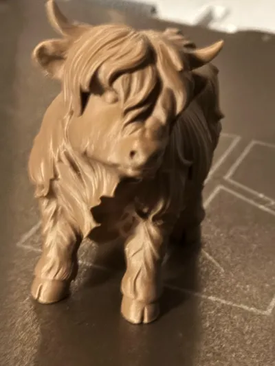 https://makerworld.bblmw.com/makerworld/comment/20260202/8398700/dff3ce434c0293b3.jpg