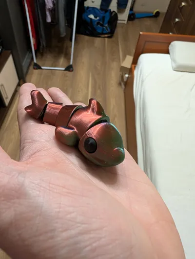 https://makerworld.bblmw.com/makerworld/comment/20260203/1112688744/b4579f01c7cfe453.jpg