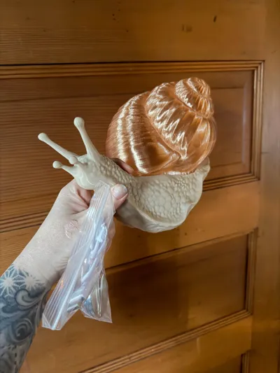 https://makerworld.bblmw.com/makerworld/comment/20260203/1135802424/40acbb9578f7206d.jpg