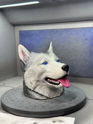 https://makerworld.bblmw.com/makerworld/comment/20260203/1245544546/3566029f2c0f1e1c.jpeg