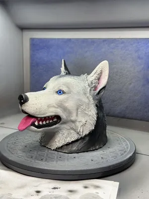 https://makerworld.bblmw.com/makerworld/comment/20260203/1245544546/4665cae0d45525aa.jpeg