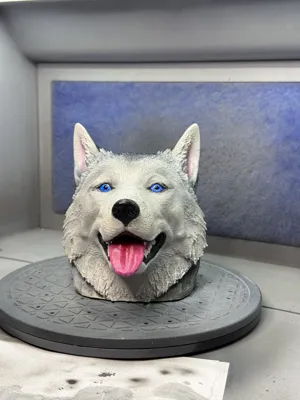 https://makerworld.bblmw.com/makerworld/comment/20260203/1245544546/99a60781f3e16d16.jpeg