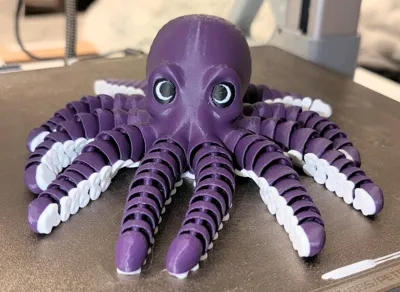 https://makerworld.bblmw.com/makerworld/comment/20260203/1483015447/b314221204a49d4f.jpg