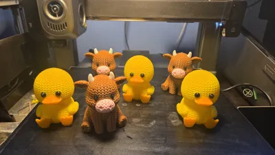 https://makerworld.bblmw.com/makerworld/comment/20260203/1494862979/6cc5bb0a8428f690.jpg