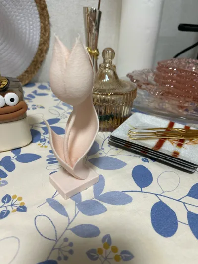 https://makerworld.bblmw.com/makerworld/comment/20260203/1551966204/1432b560448345db.jpg