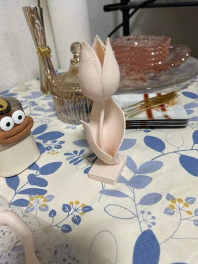https://makerworld.bblmw.com/makerworld/comment/20260203/1551966204/57997aeb0e387aa4.jpg
