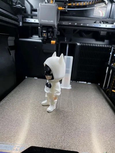 https://makerworld.bblmw.com/makerworld/comment/20260203/1828650932/0a30b36197183c93.jpg