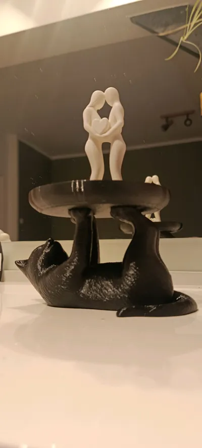 https://makerworld.bblmw.com/makerworld/comment/20260203/1913522230/f5a7aa25de77d3ee.jpg